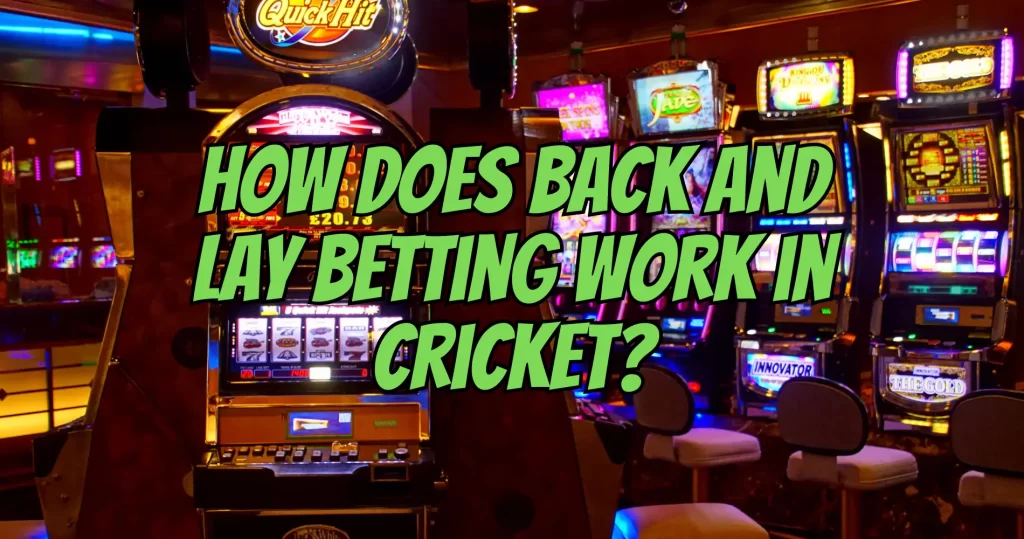 meaning of back and lay in cricket betting